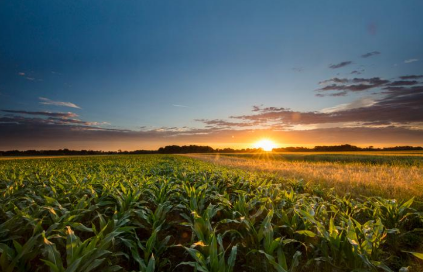 Emerging farming practices and technology shaping the future of agriculture