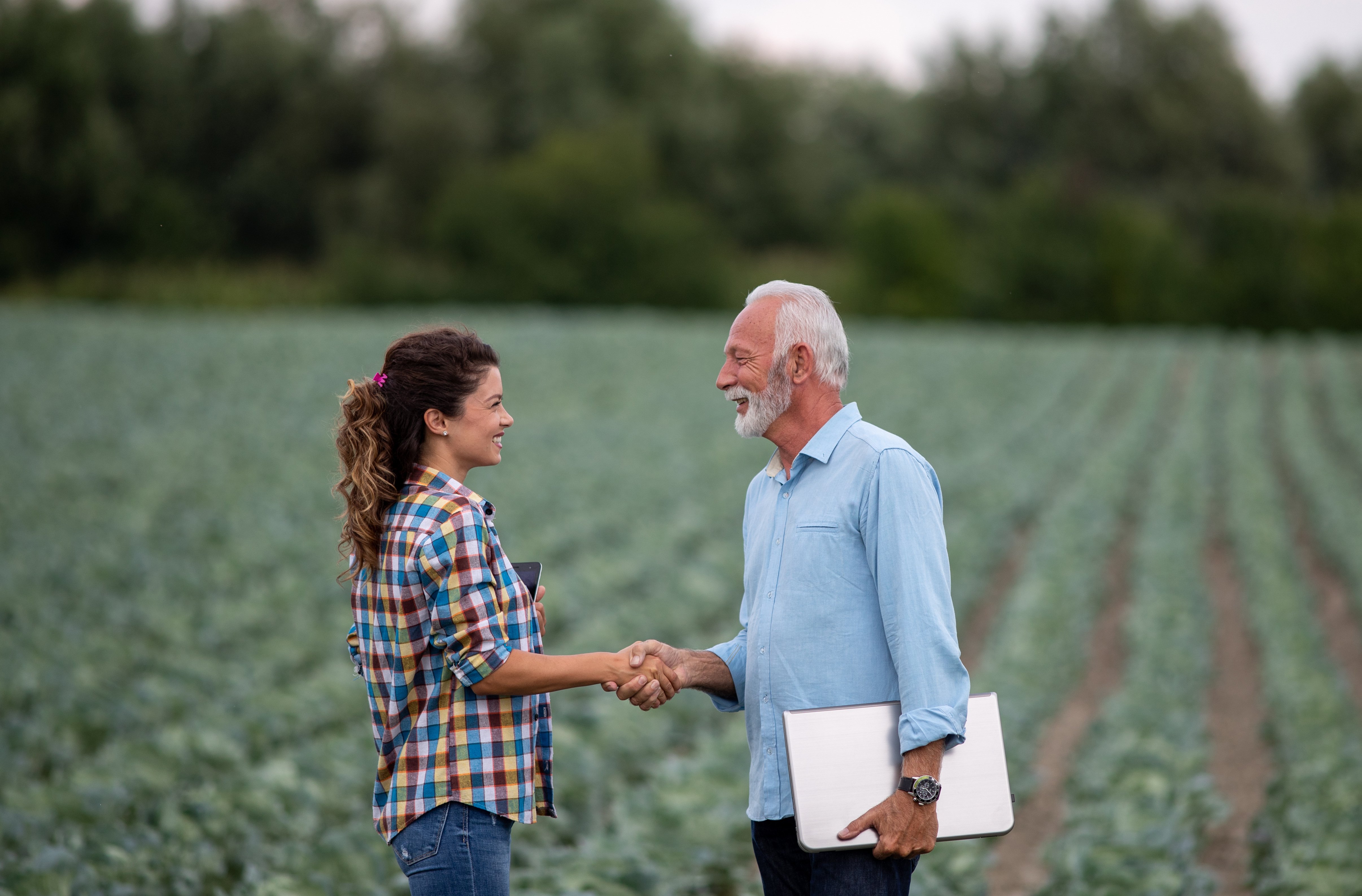 Preparing and updating a marketing plan - an important piece of your farm operation